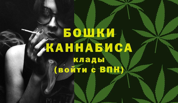 стаф Михайловск